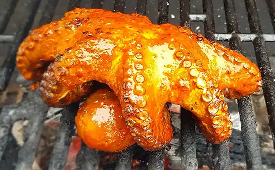 Comida fresca