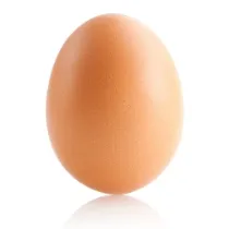 Egg