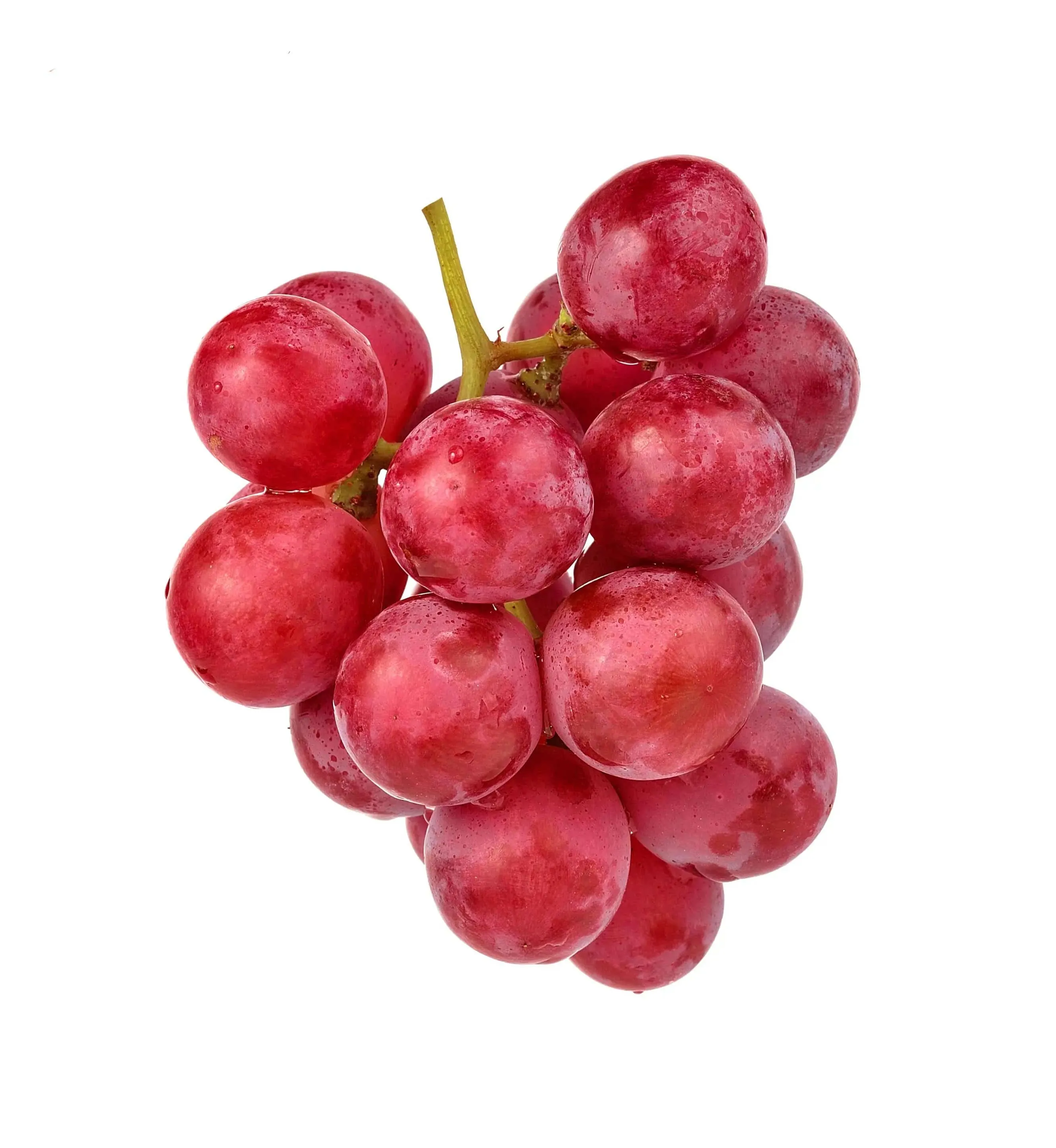 Red grapes