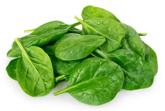 Fresh spinach