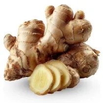 Ginger