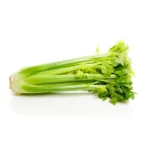 Celery